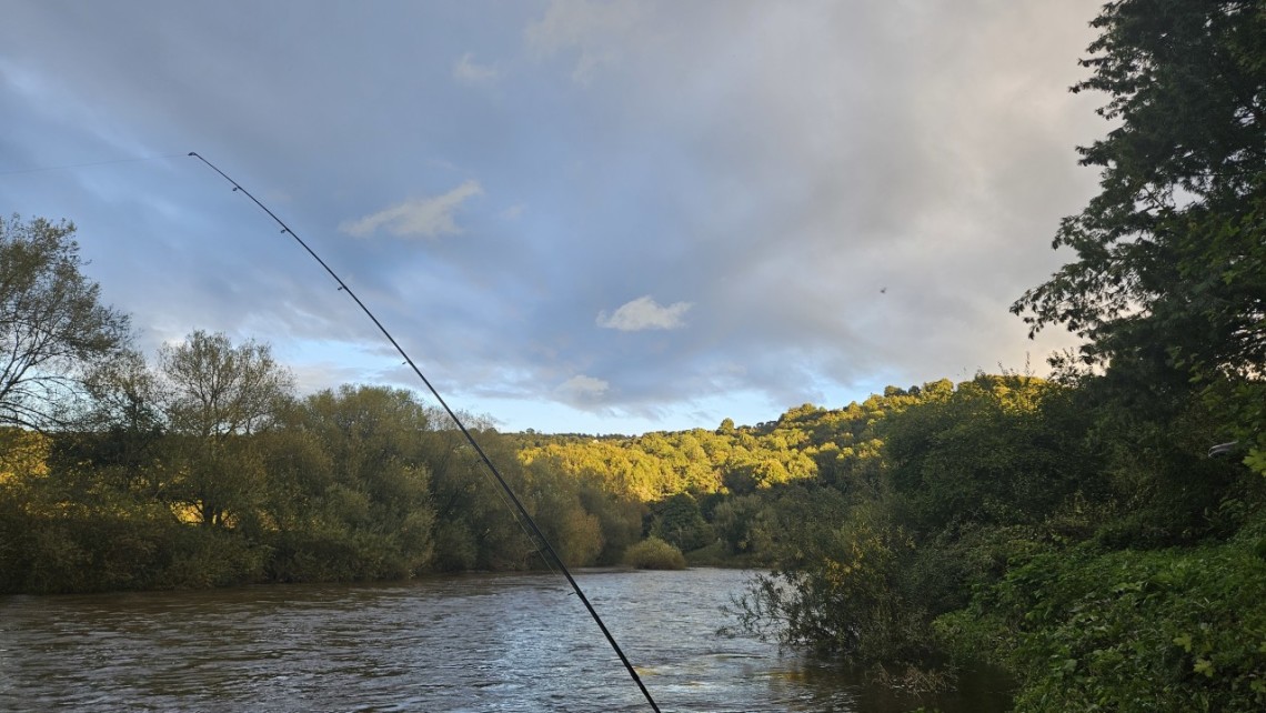 Wyebank - TW from Bishops Offley
